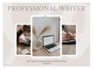 Professional Article & Blog Writing Service